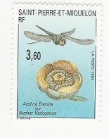 SPM-1992-Faune Et Flore  - N° 560 ** - Unused Stamps