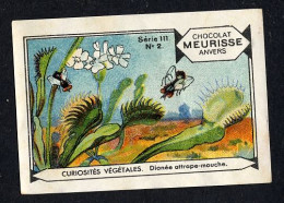 Meurisse - Ca 1930 - 111 - Curiosités Végétales, Strange Plants - 2 - Dionée Attrape-mouche - Autres & Non Classés