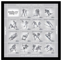 Russie 2014 YVERT N° 7453-7467 MNH ** Sochi 2014 - Unused Stamps