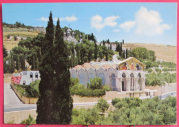 Israël - Jérusalem - Eglise Et Jardin Du Gethsemane - Israël