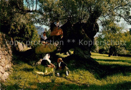 73215433 Valldemosa Trajes Tipicos Y Olivio Milenario Trachten Olivenbaum Vallde - Sonstige & Ohne Zuordnung