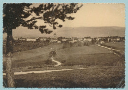 L'Auvergne Pittoresque - BERTIGNAT - Vue Générale - Circulé 1950 - Sonstige & Ohne Zuordnung