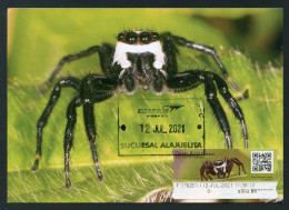 COSTA RICA (2021) Carte Maximum Card ATM - Araña Saltarina (Salticidae) - Jumping Spider, Phiale Formosa, Araignée - Costa Rica