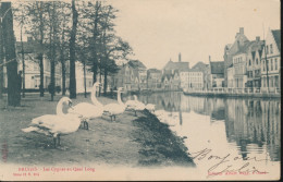 BRUGGE.  LES CYGNES AU QUAI LONG           A.SUGG  11 / 104 - Brugge