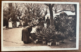 Strasbourg - Christkindelmarik In Strosburri - Strasbourg