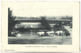 VILLIERS LE MAHIEU - Ferme De Maizelan - Vaches - Other & Unclassified