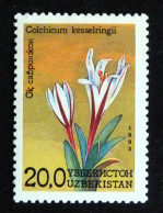 OUZBEKISTAN UZBEKISTAN YT 31 ** MNH - FLORE FLEUR FLOWER BLUME - Uzbekistan