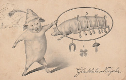 CPA - Cochon- Illustrateur - Cochons