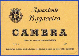 Brandy Label, Portugal - Aguardente Bagaceira CAMBRA -|- Região Dos Vinhos Verdes, Guimarães - Alcohols & Spirits