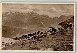 39702007 - Kuhherde Auf Der Alm - Sonstige & Ohne Zuordnung