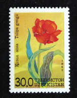 OUZBEKISTAN UZBEKISTAN YT 34 ** MNH - FLORE FLEUR FLOWER BLUME - Oezbekistan