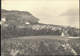 11644232 Lavaux VD Panorama Lac Leman  - Sonstige & Ohne Zuordnung