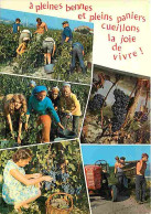 Vignes - Multivues - Tracteur - Grappes De Raisins - Vendanges - Raisins - Vin - CPM - Voir Scans Recto-Verso - Viñedos