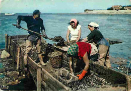 Metiers - Ostréiculture - Culture Des Huitres - Ostréiculteur - Cote Atlantique - Scène Ostréicole - CPM - Voir Scans Re - Pêche