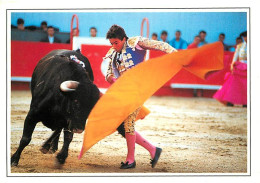 Corrida - Folklore De Provence - Carte Neuve - CPM - Voir Scans Recto-Verso - Corrida