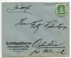 Germany 1929 Cover; Meschede - Johannes Schüttler, Geflügelfarm To Ostenfelde; 5pf. Friedrich Von Schiller - Briefe U. Dokumente