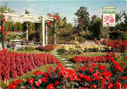 45 - Orléans - Floralies Internationales 1967 - Parc Floral De La Source - Carte No 94 - Fleurs - CPM - Voir Scans Recto - Orleans