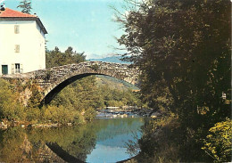 30 - Gard - Pont De Rastel Près De Chamborigaud - Vieux Pont Sur Le Luech - Vieilles Pierres - CPM - Voir Scans Recto-Ve - Sonstige & Ohne Zuordnung
