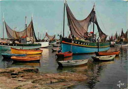 29 - Lesconil - Bateaux De Peche Dans Le Port - Voir Scans Recto Verso  - Lesconil