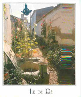 17 - Ile De Ré - Ruelle Fleurie De Roses Trémières - Fleurs - CPM - Voir Scans Recto-Verso - Ile De Ré