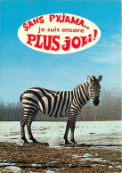 Animaux - Zèbres - Carte à Message Ou Humoristique - CPM - Voir Scans Recto-Verso - Zebre