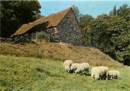 Animaux - Moutons - Lourdes - Cité Secours St Pierre - La Chapelle Ste Bernadette - CPM - Voir Scans Recto-Verso - Otros & Sin Clasificación