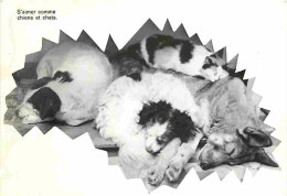 Animaux - Chiens - CPM - Voir Scans Recto-Verso - Dogs