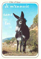 Animaux - Anes - Carte Humoristique - Carte Neuve - CPM - Voir Scans Recto-Verso - Donkeys