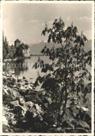 11644191 Chillon Chateau Bords Du Lac Leman Montreux - Sonstige & Ohne Zuordnung