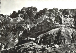 11644106 Appenzell IR Blick Von Messmeralp Kuehe Auf Boetzel Widderalpstoecke Hu - Altri & Non Classificati