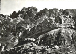 11644105 Appenzell IR Blick Von Messmeralp Kuehe Auf Boetzel Widderalpstoecke Hu - Altri & Non Classificati