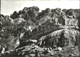 11644101 Appenzell IR Blick Von Messmeralp Kuehe Auf Boetzel Widderalpstoecke Hu - Altri & Non Classificati