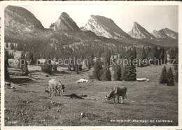 11644097 Alt St Johann Alp Sellamatt Kuehe Churfirsten Appenzeller Alpen Alt St. - Altri & Non Classificati