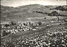 11644088 Schoenengrund AR Panorama Mit Sitz Sommerwiese Schoenengrund - Other & Unclassified