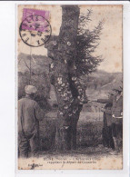 BEINE: L'arbre Aux Clous Rappelant Le Départ De Conscrits - état - Autres & Non Classés