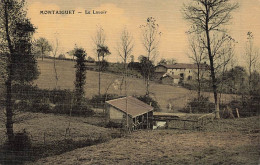 03 - ALLIER - BOURBONNAIS - MONTAIGUET - Le Lavoir - 10273 - Sonstige & Ohne Zuordnung