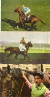 3 Cartes Hippisme. Calendrier Postillon 1967 Avec Le Nom Des Jockeys. - Paardensport