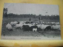 40 3725 LOT N° 5  DE 15 CPA DIFFERENTES SUR  LES BERGERS ET MOUTONS DANS LES LANDES - Veeteelt