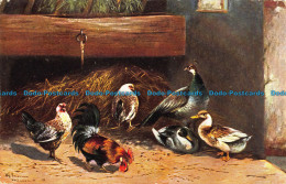R043525 Old Postcard. Rooster And Ducks. Ernest Nister. 1911 - World