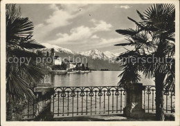 11643646 Brissago TI Panorama Lago Maggiore Im Fruehling Brissago - Autres & Non Classés