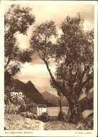 11643642 Gandria Lago Di Lugano Panorama Am Luganersee Gandria - Autres & Non Classés