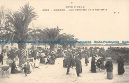 R044843 Cannes. Les Palmiers De La Croisette. No 2236 - World