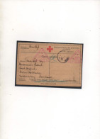 AUTRICHE-HONGRIE,1917,  PRISONNIER DE GUERRE AUTRICHIEN EN RUSSIE, CENSURE - Brieven En Documenten