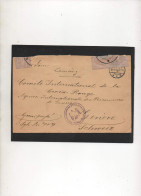 ALLEMAGNE,1915, CORRESP. PRISONNIER DE GUERRE,FRANKFURT, VIA  ROTE KREUZ, CROIX-ROUGE  SUISSE,CENSURE - Correos De Prisioneros De Guerra