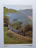 The Vale Of Rheidol Railway Near Devil's Bridge - (Wales) - Eisenbahnen