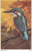 IJsvogel Voor Het Kindkaart 1946 Ontwerp J. Voerman - Autres & Non Classés