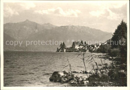 11643363 Gerra Locarno Panorama Lago Maggiore Gerra  - Sonstige & Ohne Zuordnung