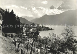 11643362 Gerra Locarno Panorama Lago Maggiore Gerra  - Sonstige & Ohne Zuordnung