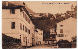 SALUTI DA OSPITALE DEL CADORE O DA OSPITALE DI CADORE - BELLUNO - Vedi Retro - F. P. - Belluno