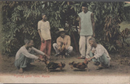 Manila.Pelea De Gallos - Filippine